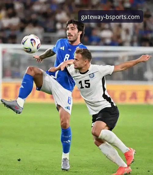 BSports体育投注可靠吗必备 意大利队世预赛再折戟,BSports官方入口赛事直播带来深度解析